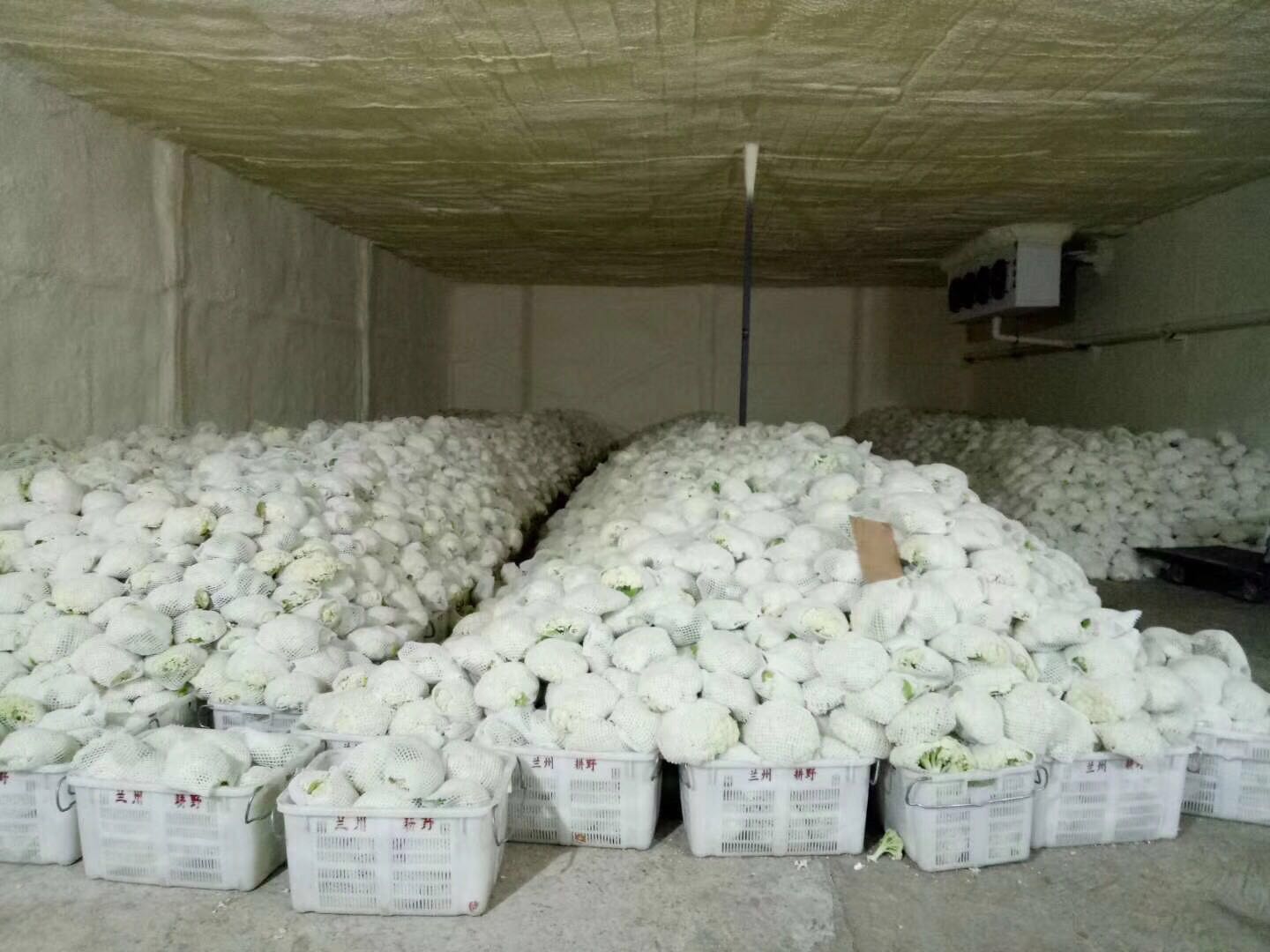 西安冷庫安裝 西安冷庫安裝