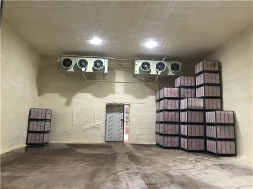 蘋(píng)果保鮮庫(kù)